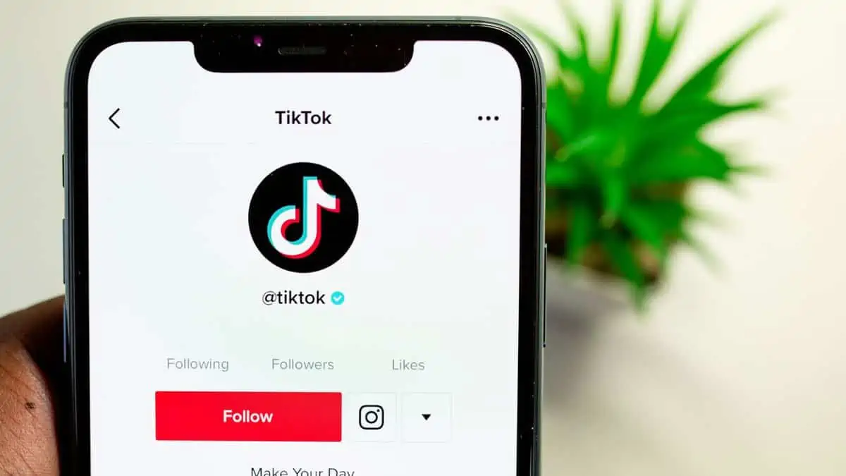 How To Remove Tiktok Filter